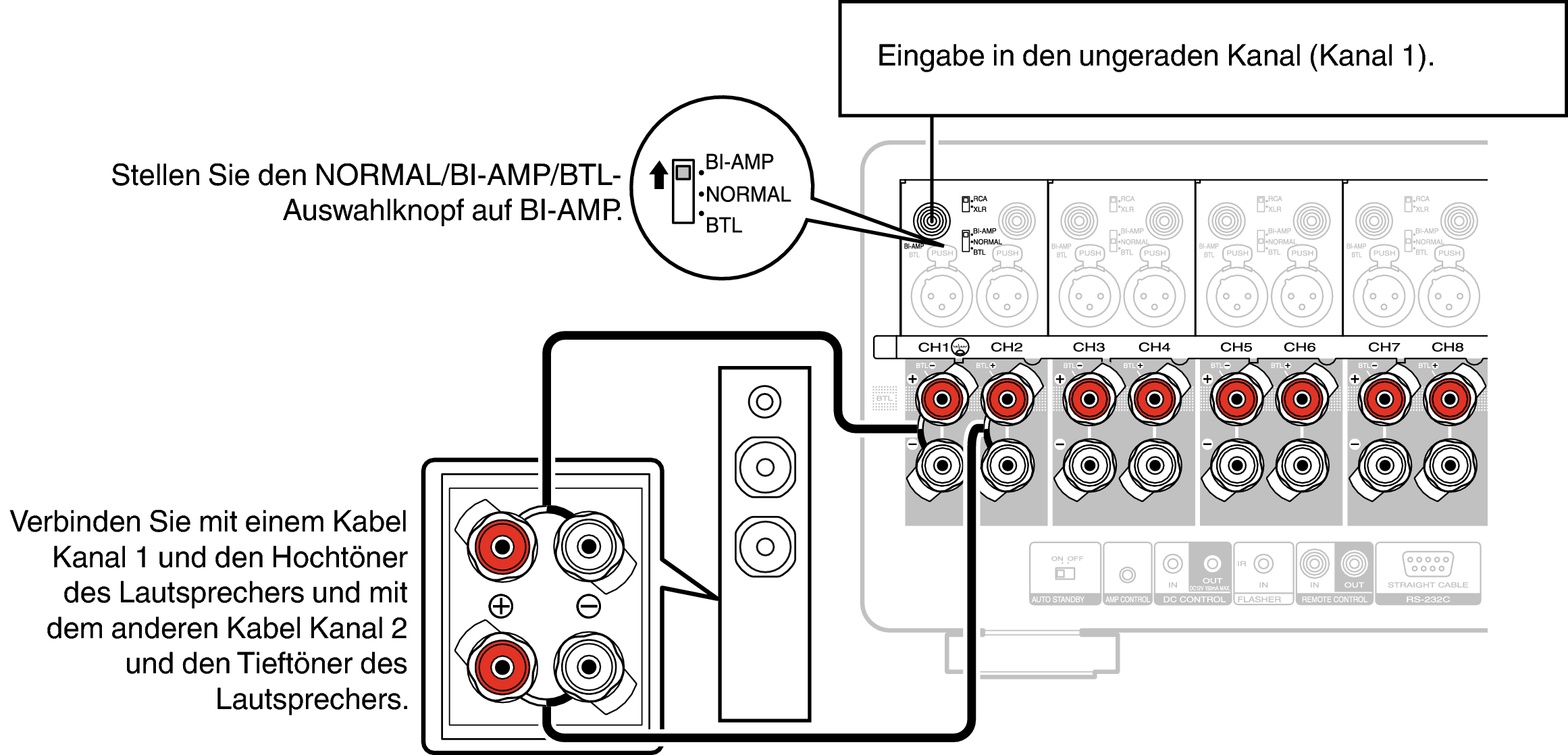 Conne SP BiAmp AMP10